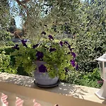 Διαμέρισμα La Cigale Avec Grande Terrasse Μεντόν