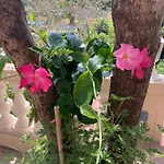 Διαμέρισμα La Cigale Avec Grande Terrasse Μεντόν
