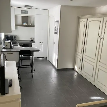 La Cigale Avec Grande Terrasse * Menton