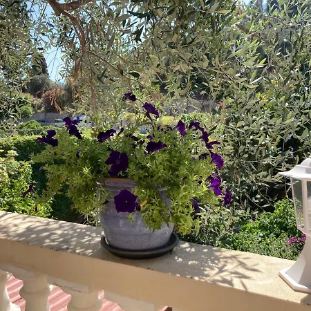 Apartment La Cigale Avec Grande Terrasse Menton