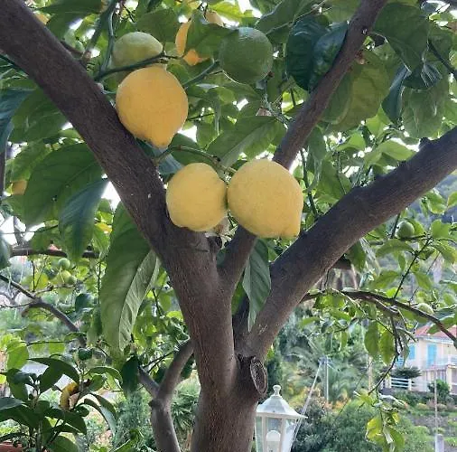 아파트 La Cigale Avec Grande Terrasse *