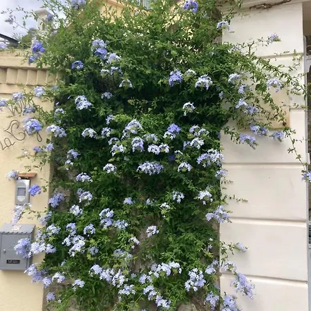 La Cigale Avec Grande Terrasse Daire