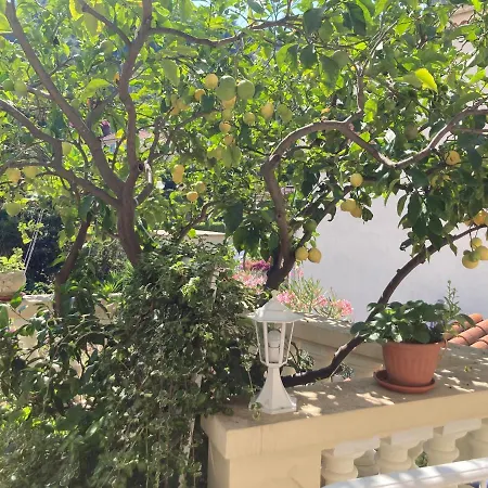 Daire La Cigale Avec Grande Terrasse