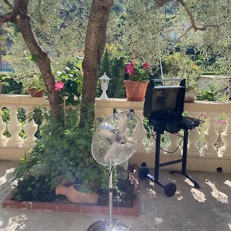 La Cigale Avec Grand Terrasse *