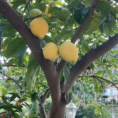 דירה La Cigale Avec Grande Terrasse *