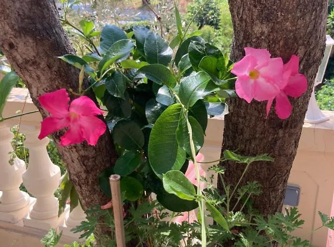 Apartment La Cigale Avec Grande Terrasse Menton